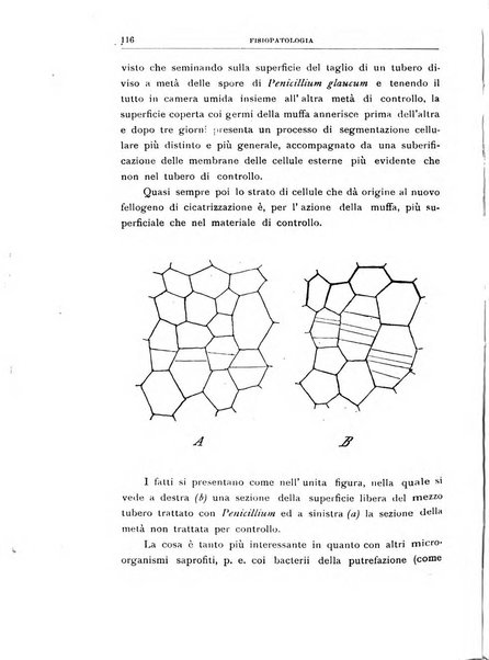 Rivista di patologia vegetale