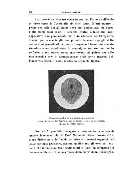 Rivista di patologia vegetale