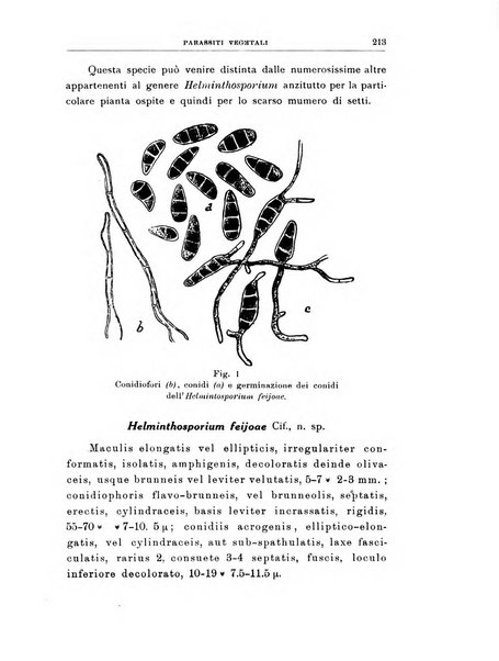 Rivista di patologia vegetale