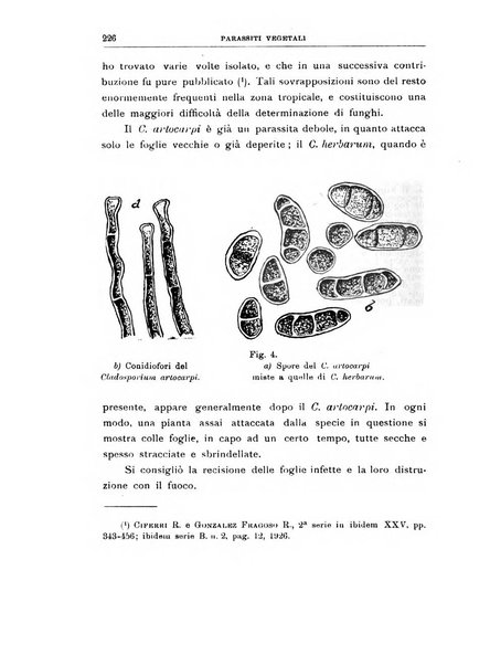 Rivista di patologia vegetale