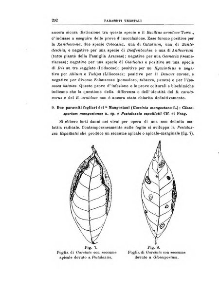 Rivista di patologia vegetale