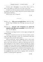 giornale/UFI0011617/1928/unico/00000073
