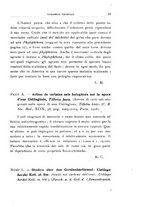 giornale/UFI0011617/1929/unico/00000133