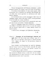 giornale/UFI0011617/1929/unico/00000182