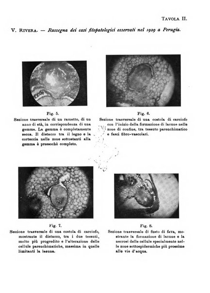 Rivista di patologia vegetale