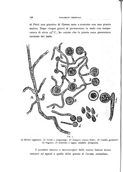 Rivista di patologia vegetale