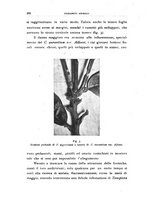 giornale/UFI0011617/1933/unico/00000390