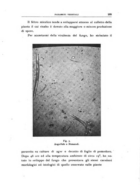 Rivista di patologia vegetale