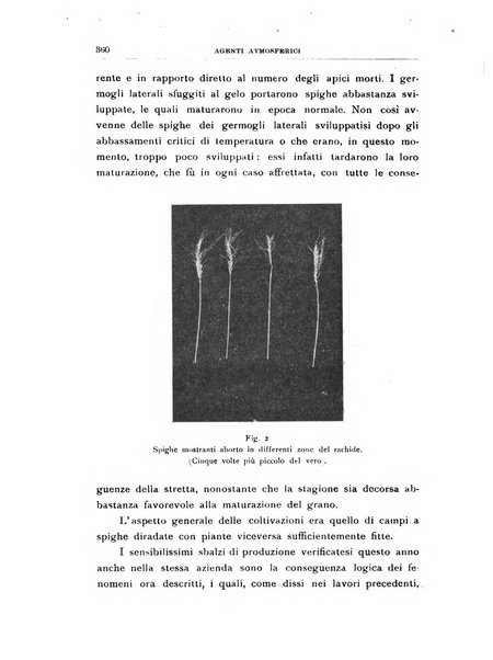 Rivista di patologia vegetale