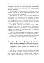 giornale/UFI0011617/1933/unico/00000504