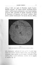 giornale/UFI0011617/1935/unico/00000099