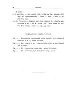 giornale/UFI0011617/1935/unico/00000112