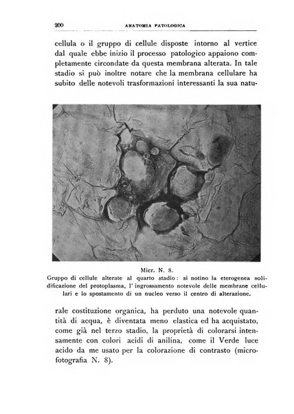 Rivista di patologia vegetale