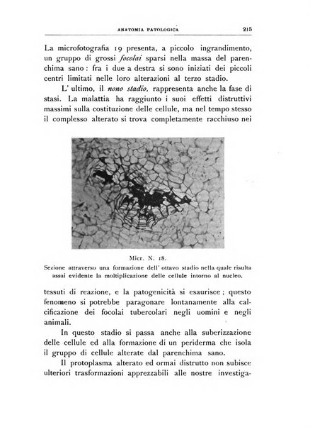 Rivista di patologia vegetale