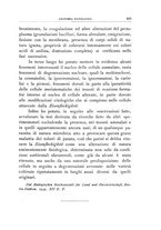 giornale/UFI0011617/1935/unico/00000323
