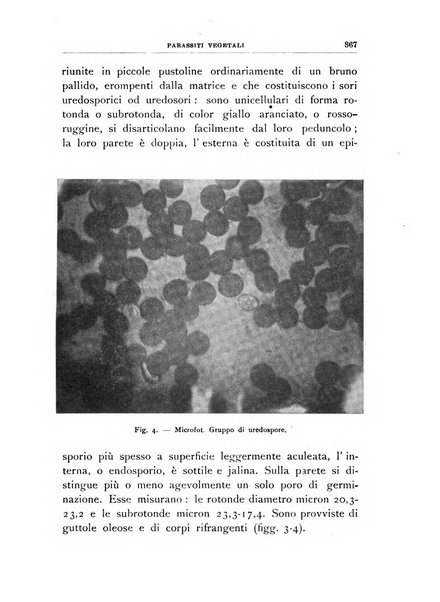 Rivista di patologia vegetale