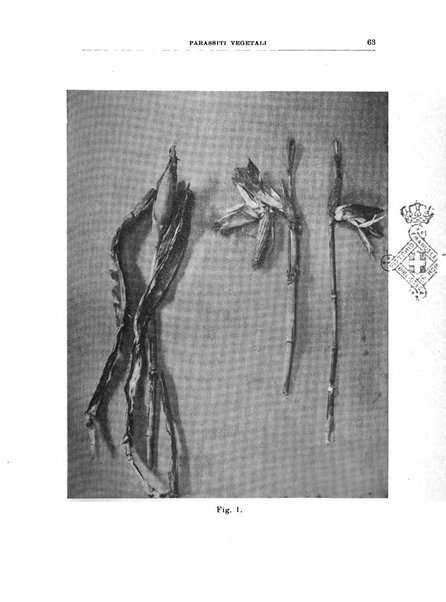 Rivista di patologia vegetale