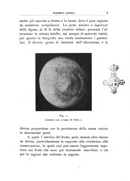 Rivista di patologia vegetale