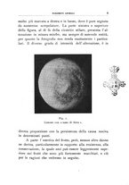 giornale/UFI0011617/1937/unico/00000009