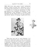 giornale/UFI0011617/1937/unico/00000085