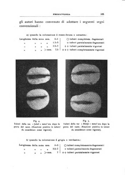 Rivista di patologia vegetale