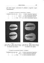 giornale/UFI0011617/1937/unico/00000179