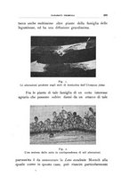 giornale/UFI0011617/1937/unico/00000305