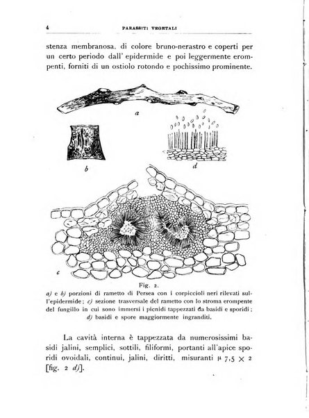 Rivista di patologia vegetale