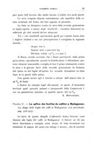 giornale/UFI0011617/1938/unico/00000033