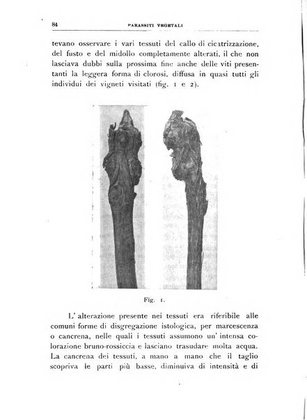 Rivista di patologia vegetale