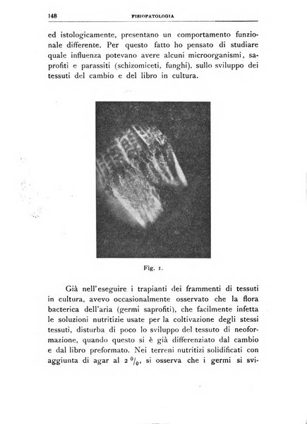 Rivista di patologia vegetale