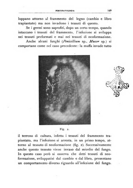 Rivista di patologia vegetale