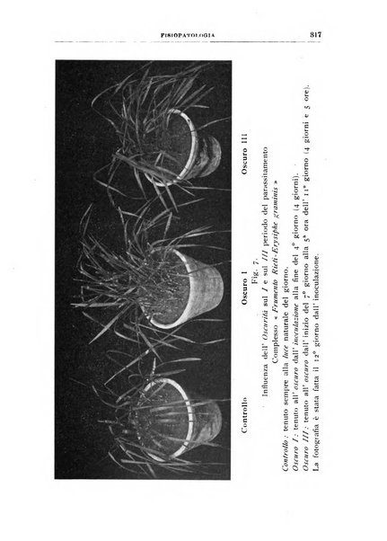 Rivista di patologia vegetale