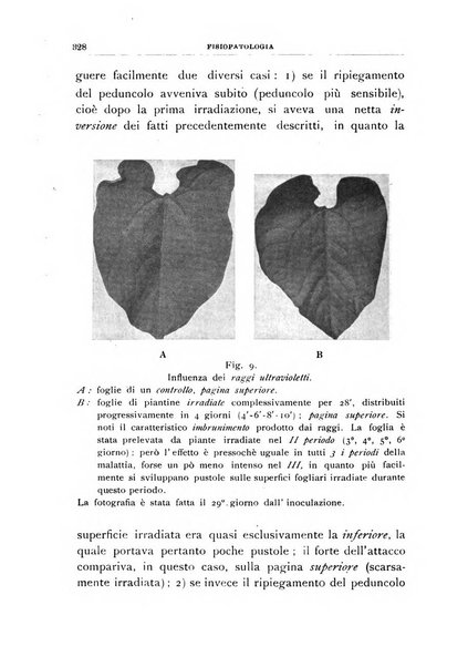 Rivista di patologia vegetale