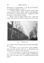 giornale/UFI0011617/1938/unico/00000416