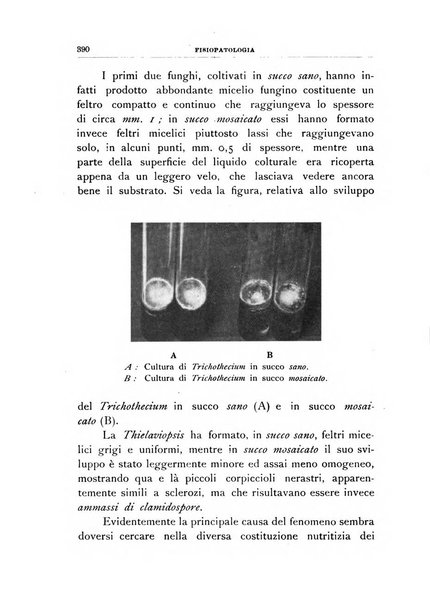 Rivista di patologia vegetale