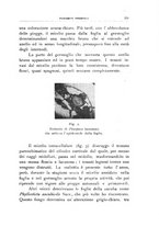 giornale/UFI0011617/1939/unico/00000281
