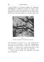 giornale/UFI0011617/1939/unico/00000282