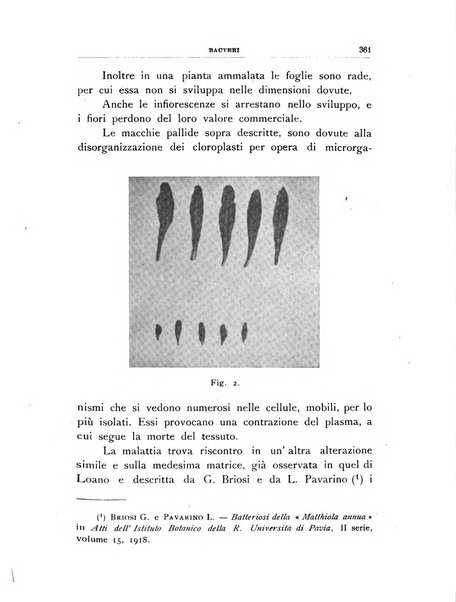 Rivista di patologia vegetale