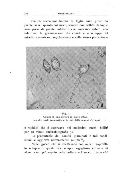 Rivista di patologia vegetale