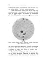 giornale/UFI0011617/1939/unico/00000406