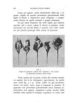 giornale/UFI0011617/1939/unico/00000442