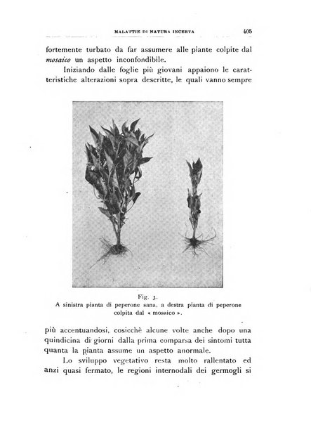 Rivista di patologia vegetale