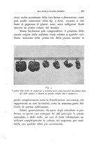 giornale/UFI0011617/1939/unico/00000445