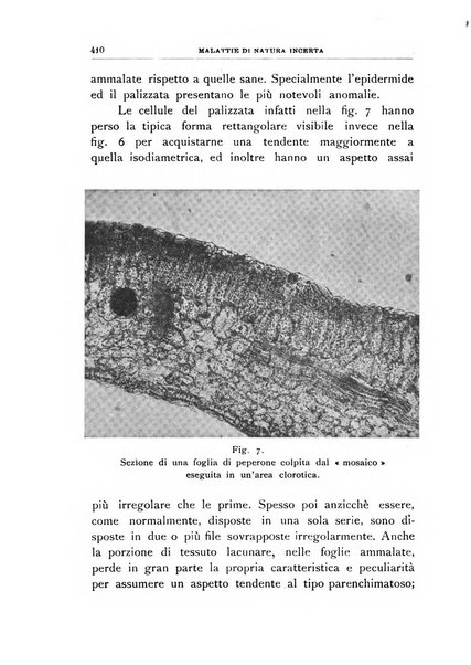 Rivista di patologia vegetale