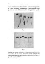 giornale/UFI0011617/1940/unico/00000112