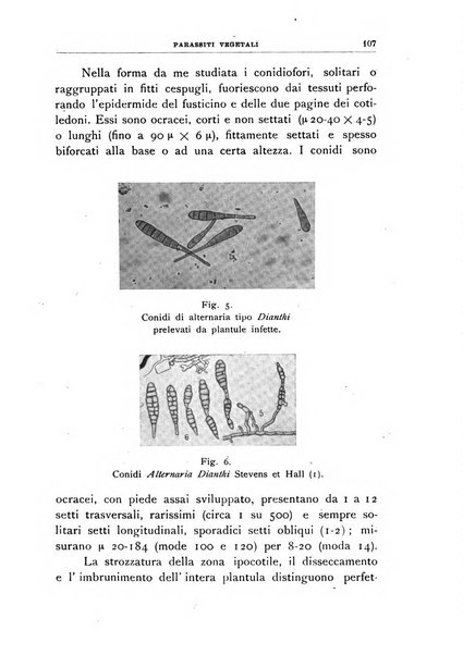 Rivista di patologia vegetale