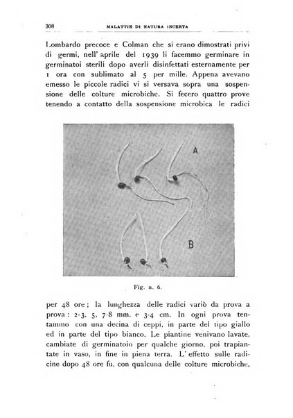 Rivista di patologia vegetale