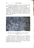 giornale/UFI0011617/1941/unico/00000136