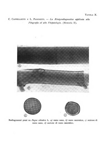 Rivista di patologia vegetale